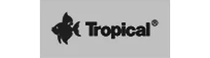 Tropical